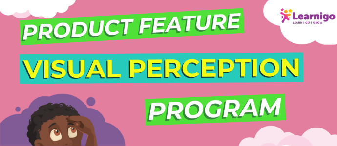 Visual Perception Program Header Image